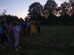 Miniatura zdjęcia: 14