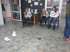 Miniatura zdjęcia: 24