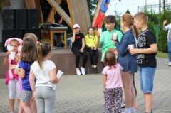 Miniatura zdjęcia: 61