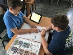 Miniatura zdjęcia: 18