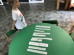 Miniatura zdjęcia: 4