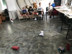 Miniatura zdjęcia: 9