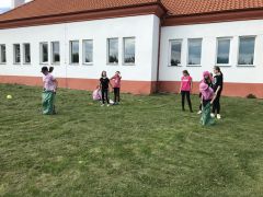 Miniatura zdjęcia: 23