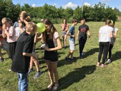 Miniatura zdjęcia: 13