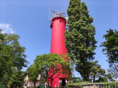 Miniatura zdjęcia: 19