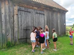 Miniatura zdjęcia: 12