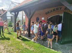 Miniatura zdjęcia: 26