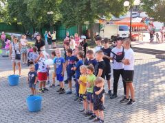 Miniatura zdjęcia: 25