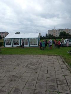 Miniatura zdjęcia: 10