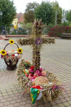 Miniatura zdjęcia: 5
