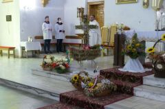 Miniatura zdjęcia: 43