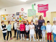 Miniatura zdjęcia: 16