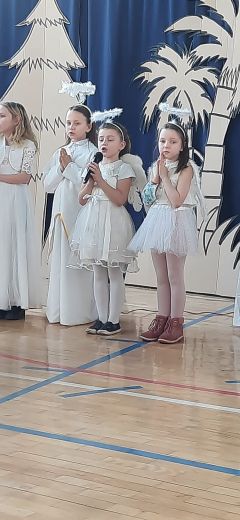 Miniatura zdjęcia: 5