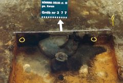 Miniatura zdjęcia: Urny popielcowe na cmenatrzu w Równinie Dolnej